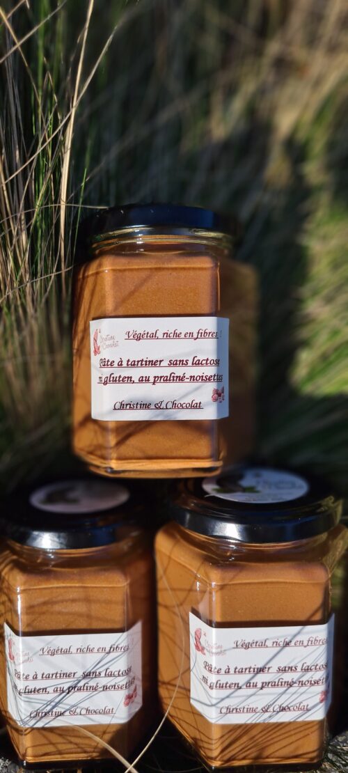 Le végétal au praliné-noisettes (sans lactose)